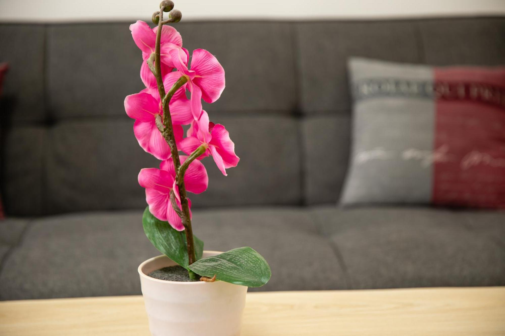 Apartment Rueppgasse Leopoldstadt Wien ภายนอก รูปภาพ